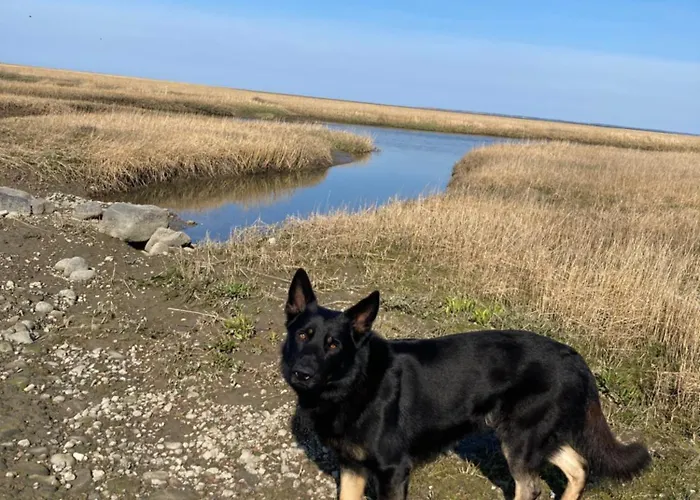 Lille Røde Hus Mandø * Ribe